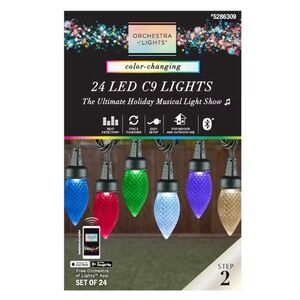 Gemmy Orchestra of Lights Color Changing 24 LED C9 Bulbs Step 2 Musical Show New